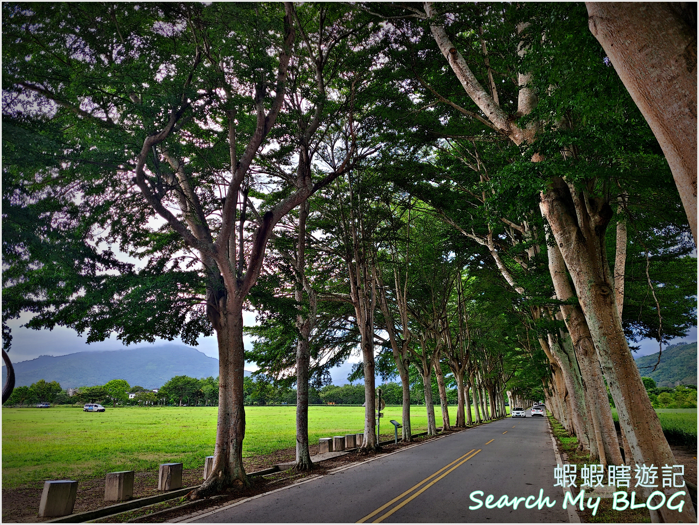 龍田綠色隧道