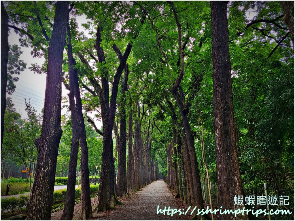 新威森林公園