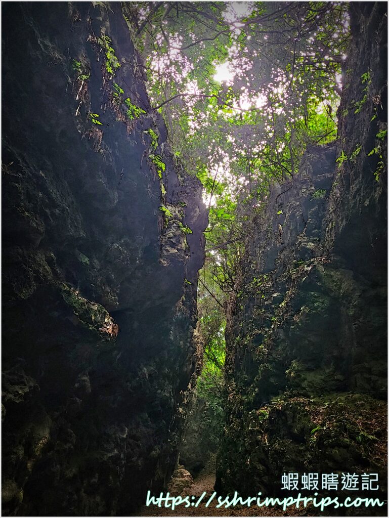 盤龍峽谷一線天