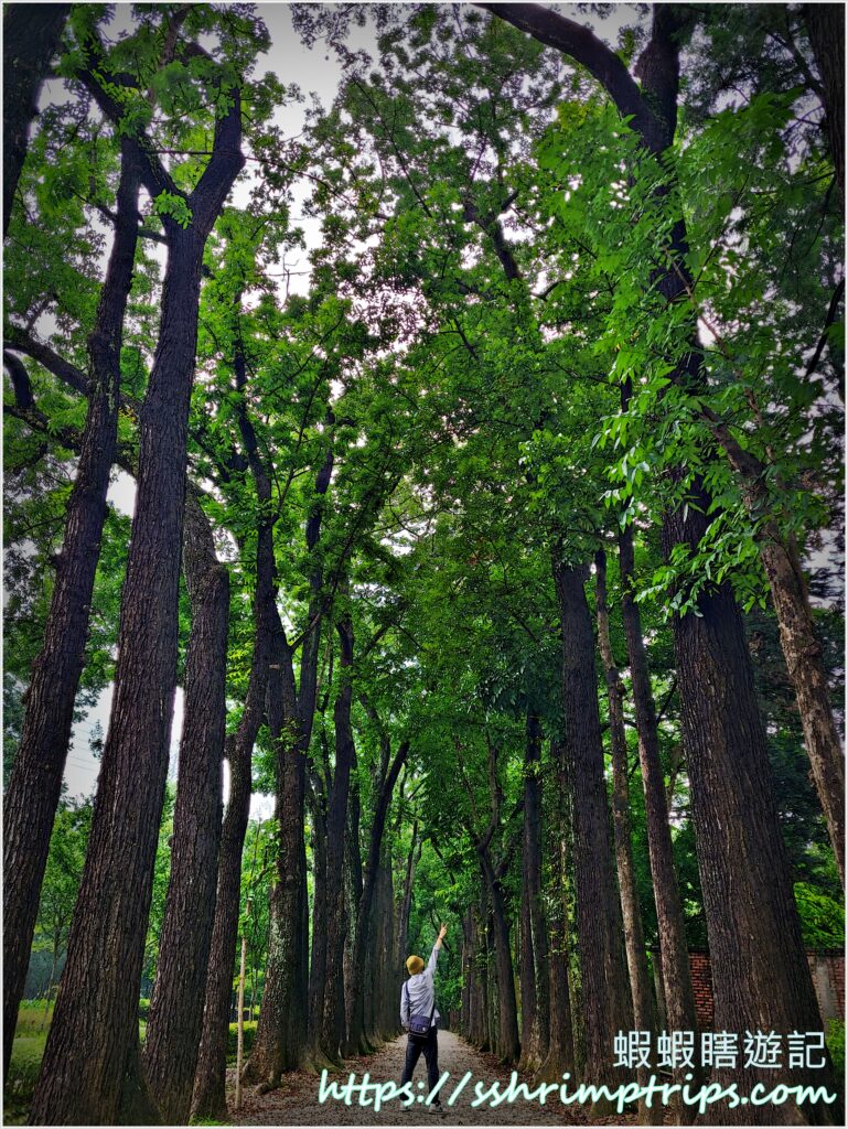 茂林國家風景區管理處