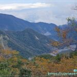 台灣山毛櫸國家步道