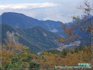 台灣山毛櫸國家步道