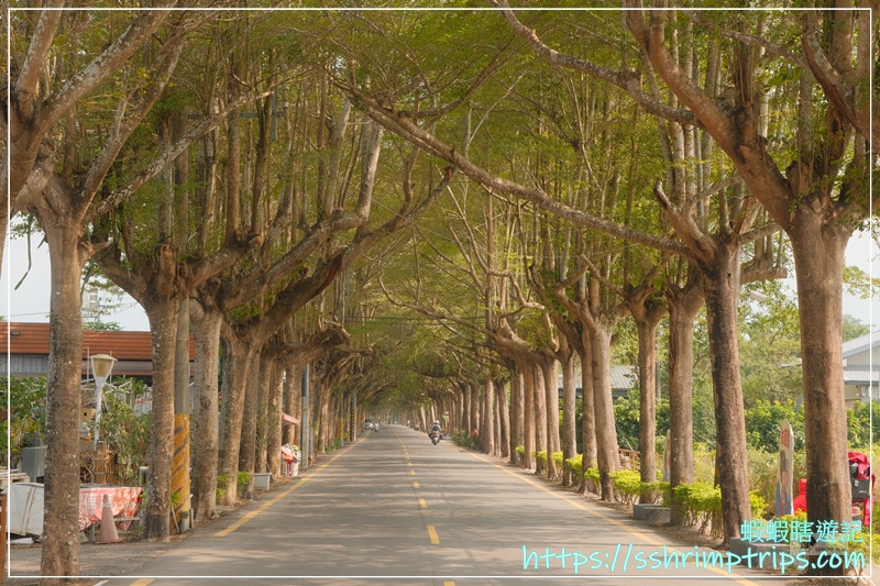 潮州綠色隧道