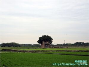 芬園田中小屋