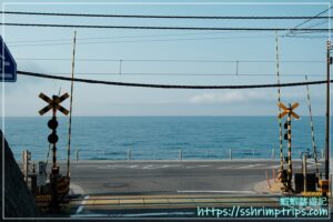 櫻木花道平交道