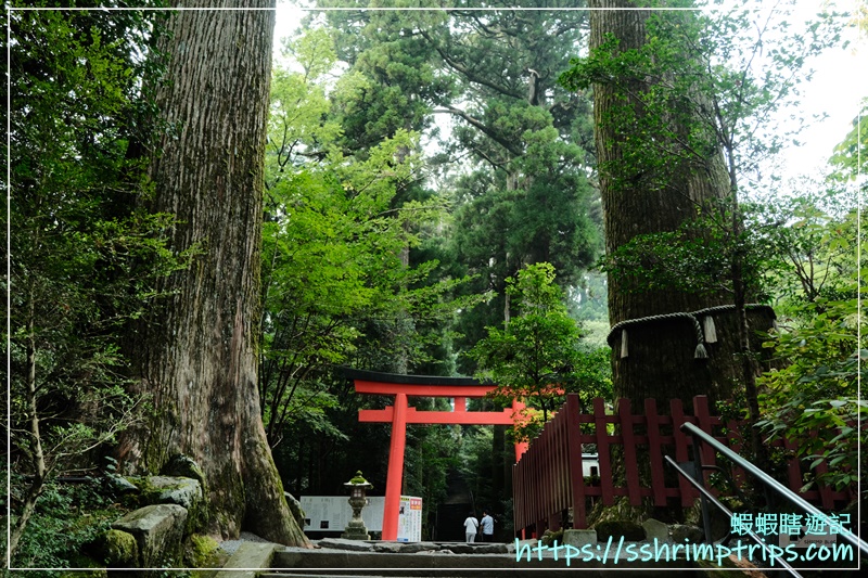 箱根神社