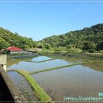 遠望坑親水公園