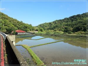 遠望坑親水公園